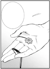 Wooden Pendant in the Manga
