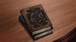 «An Exploratory Account of the Teleportation Labyrinth» Book in the Anime