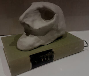 Trial skull