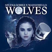 Wolves (Selena Gomez & Marshmello song)