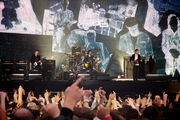 The Libertines 2014