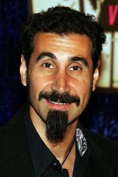 Serj tankian software company sale