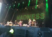 Madness Wirral Live.jpg