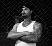 Xavier-wulf.jpg
