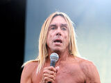 Iggy Pop