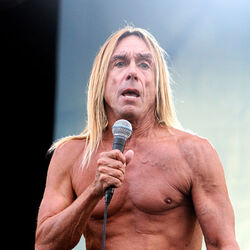 Category Shock Rock Artists Music Hub Fandom From wikimedia commons, the free media repository. category shock rock artists music hub