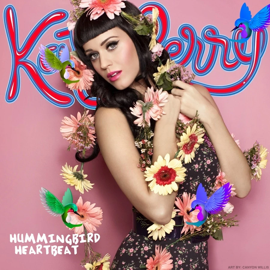 Katy Perry/Hummingbird Heartbeat Wiki Música Fandom