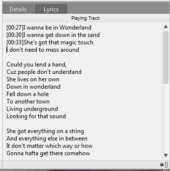 Lyrics | Musicbee Wiki | Fandom