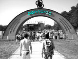 Bonnaroo