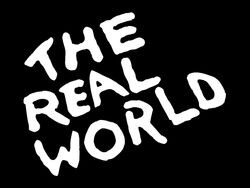 The Real World | Mtv Wiki | Fandom