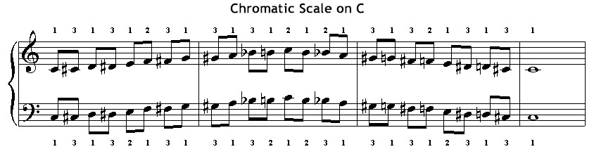 Chromatic Scale Music Theory Wiki Fandom Chromatic Scale Music Theory Wiki Fandom