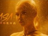 RASA:Пчеловод