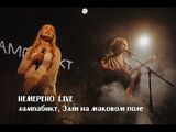 Лампабикт и Элли на маковом поле:Немерено