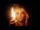 Bebe Rexha:Sabotage