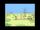Moby:Natural blues