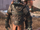 Sect Shaman