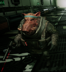 Commando vest bormin.png