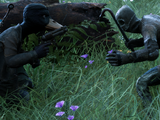 Enemies