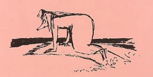 Vilijonkka maton pesussa