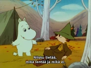 Muumipeikko ja Nuuskamuikkunen (Noita).jpg (120 KiB)