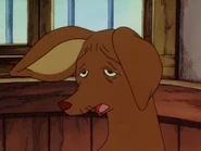 Nipsu on uupunut pakoon juoksemisesta.jpg (149 KiB)