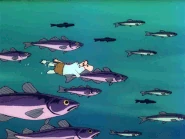 Ui kalaparven kanssa.gif (2,18 MiB)