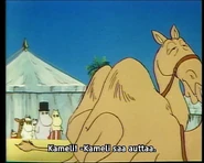Muumit aikovat paeta kamelilla.jpg (91 KiB)