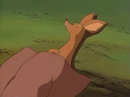 Nipsu nukkuu kokon palaessa.gif (1,53 MiB)