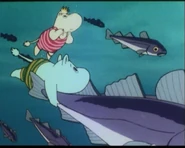 Niiskuneiti tarvitsee nyt happea pinnalta.jpg (61 KiB)