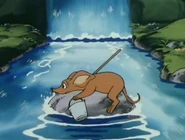 Nipsu kiven päällä Noitametsässä..jpg (129 KiB)