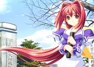 Before the Sakura Trees Bloom