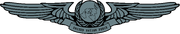 United Nations Army Badge (Wings)