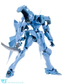 Shiranui TMC