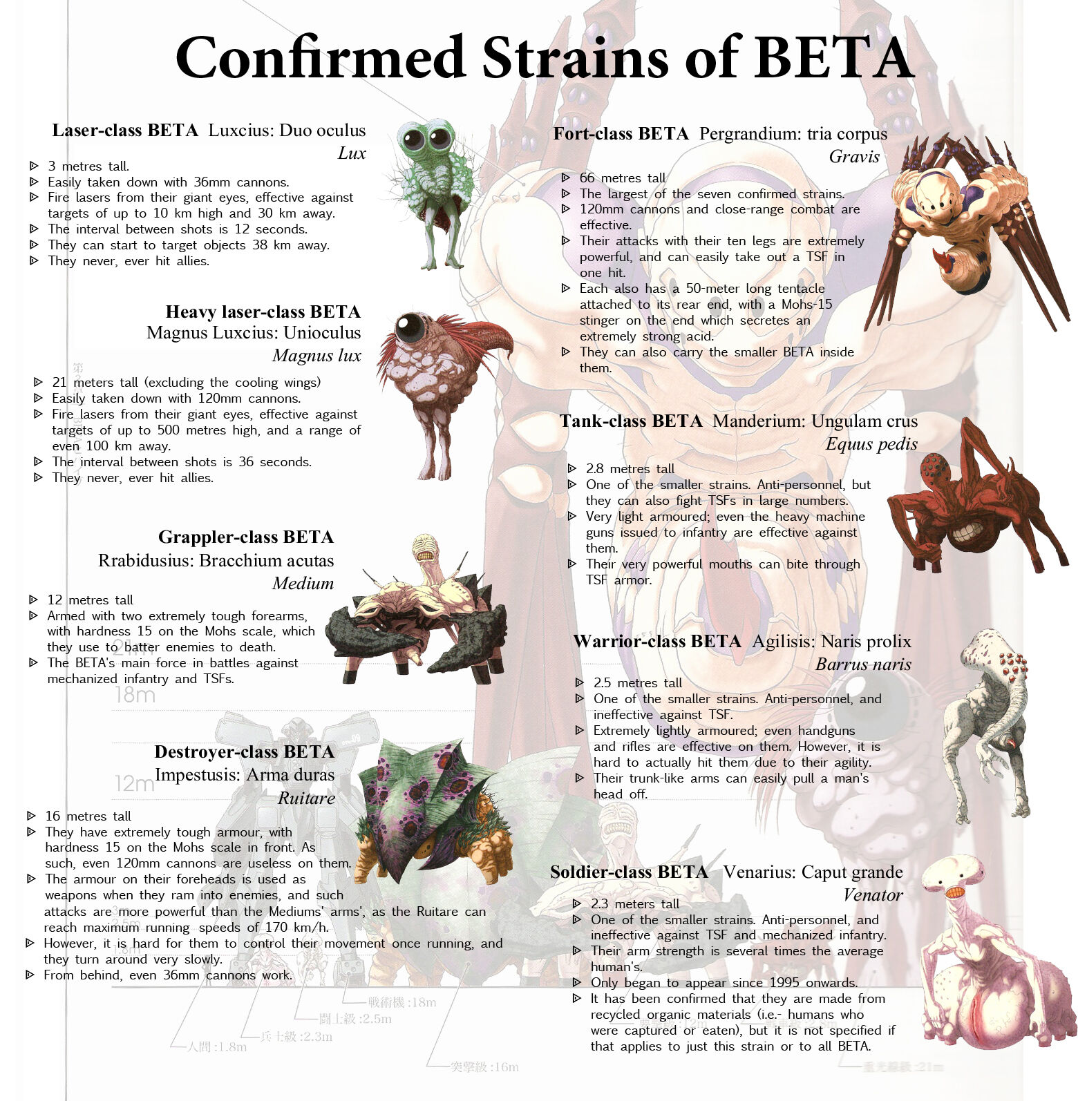 Beta Muv Luv Wiki Fandom Beta Muv Luv Wiki Fandom