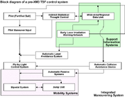 Pre- Operating System of the TSF