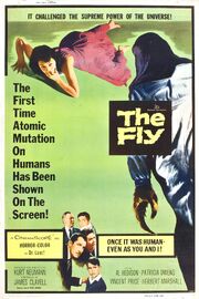 Thefly1958