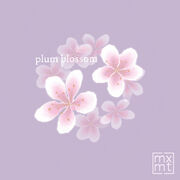 Plum blossom