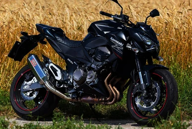 Kawasaki Z800 | Motorcycle Wiki | Fandom