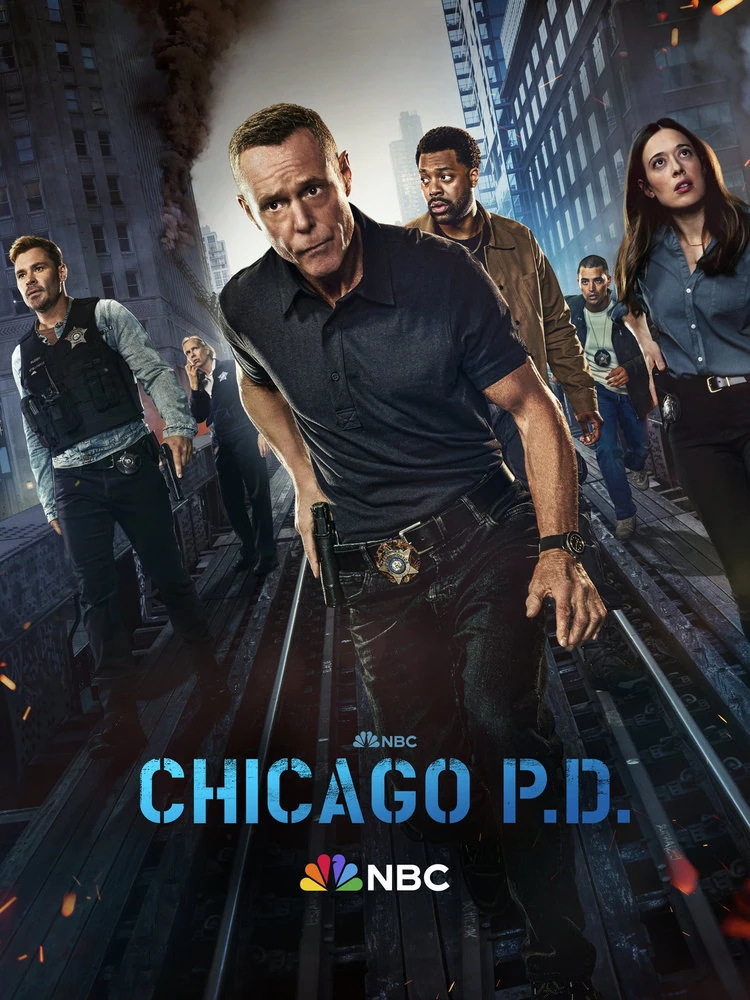CHICAGO P D SEASON 13 visual data 2