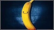 Pedro