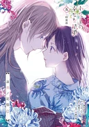 Special edition booklet cover
