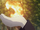 Pyrokinesis.png