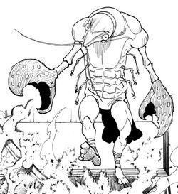 PistolShrimp.jpg