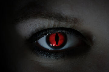 Devil Eye Devil Eye