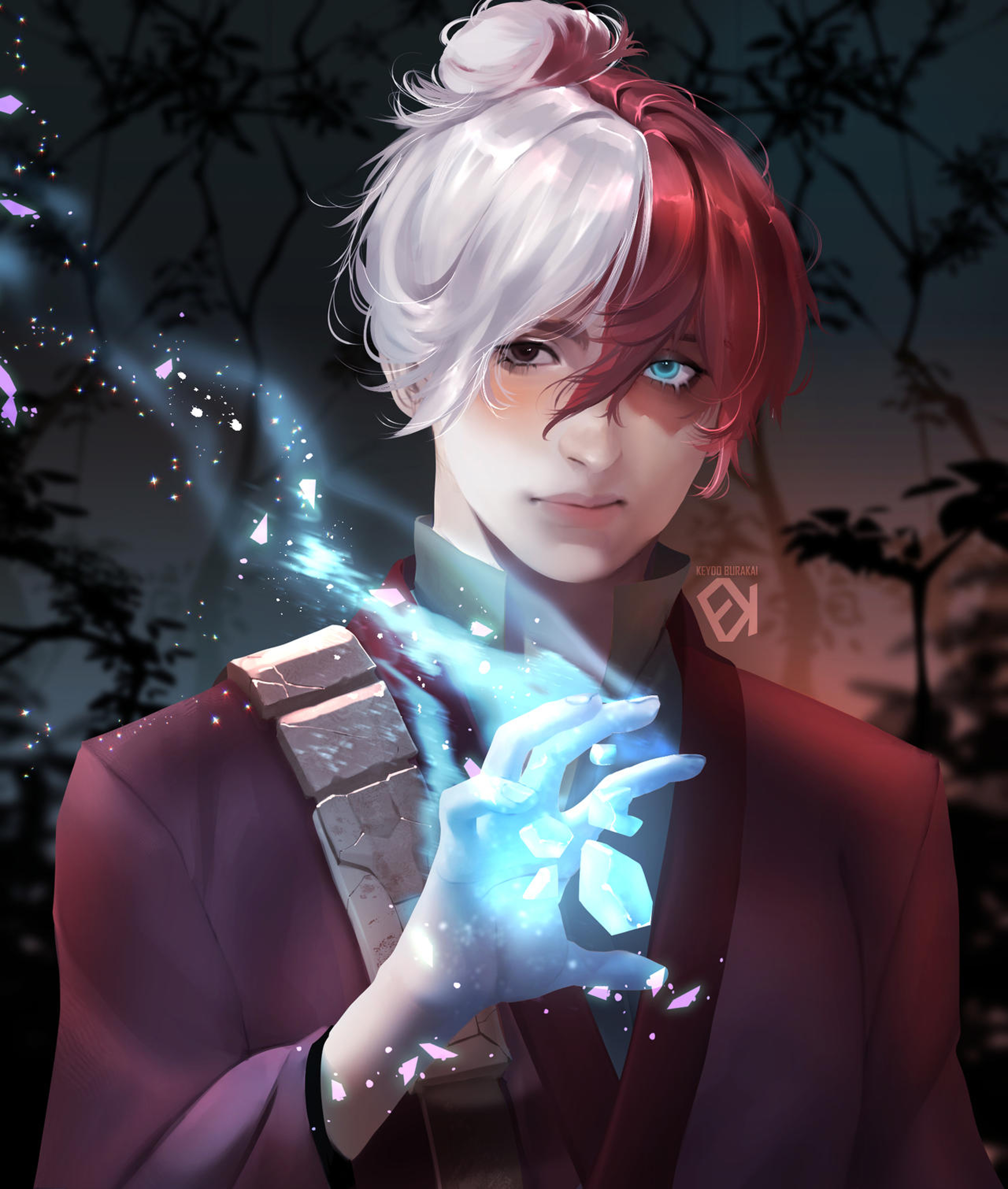 Shoto Todoroki, Wikia Boku no Hero Academia