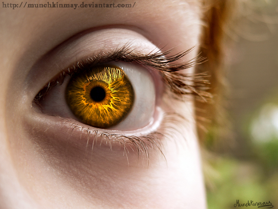 Golden Eye, My Hero Academia RP Wiki