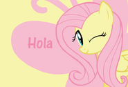 Fluttershyhola