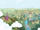 Ataque en Ponyville - Zalgo Bloom Cap.5