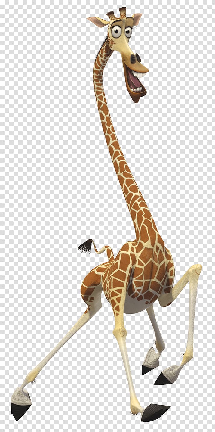 Melman | My little pony in Madagascar Wiki | Fandom