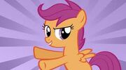 Scootaloo